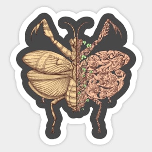 Mantis sci-fly Sticker